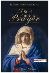A brief Primer on Prayer Kindle