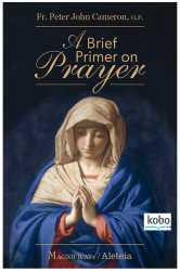 A brief Primer on Prayer Kobo