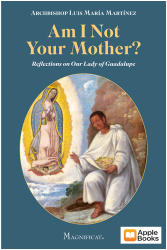 Am I Not Your Mother? Lady of Guadalupe
