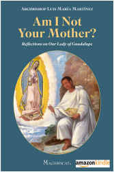 Am I Not Your Mother Lady Of Guadalupe