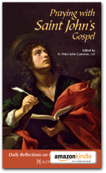 Praying with Saint John's Gospel - Kindle