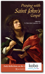Praying with Saint John's Gospel - Kobo