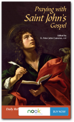 Praying with Saint John's Gospel - Nook
