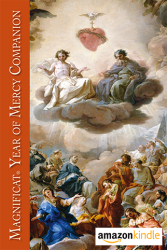 Year of Mercy Companion - Kindle