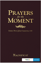 Prayers for the Moment - Nook