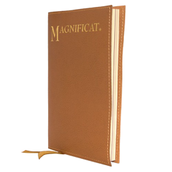 Fine semi-leather cover (Regular)