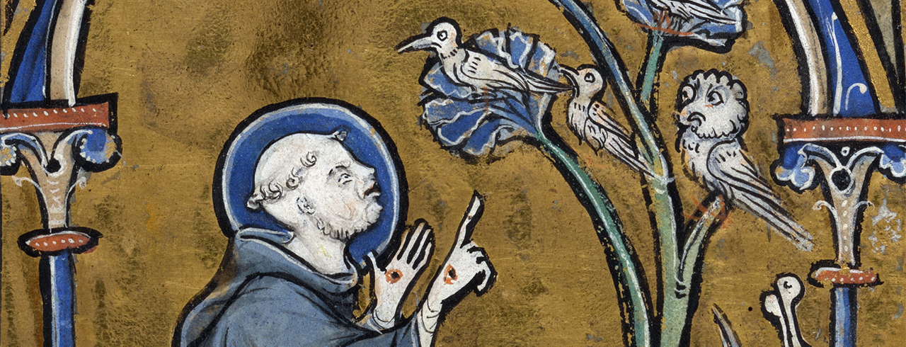 Predicación a las aves